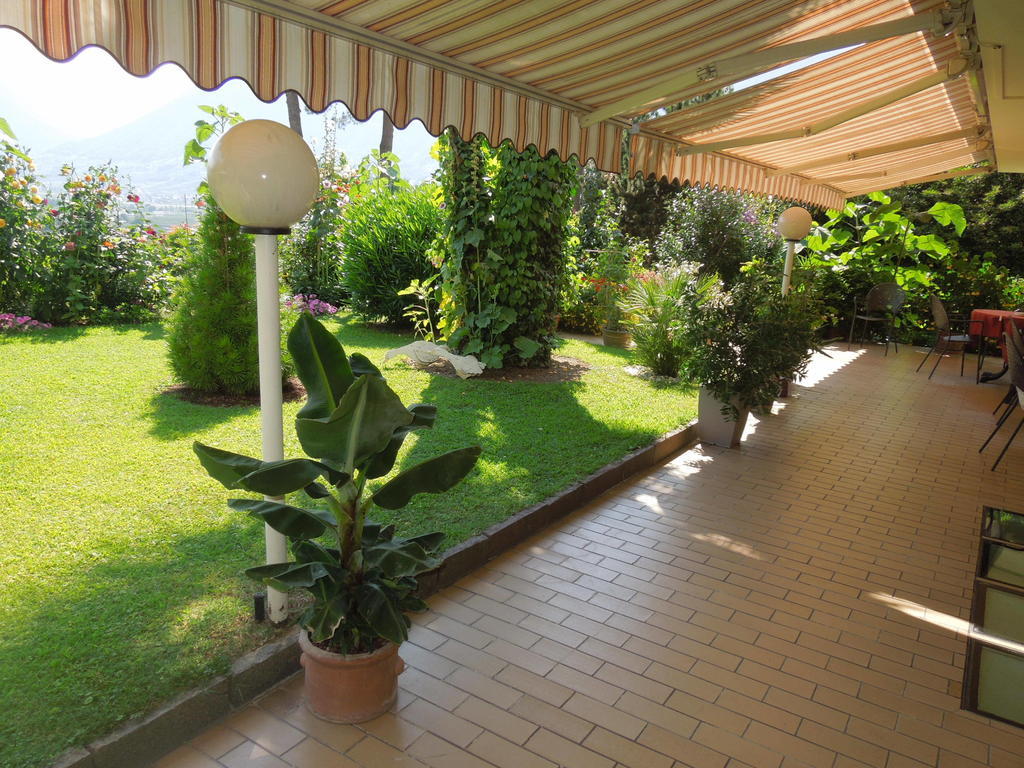Hotel Alexander 4*