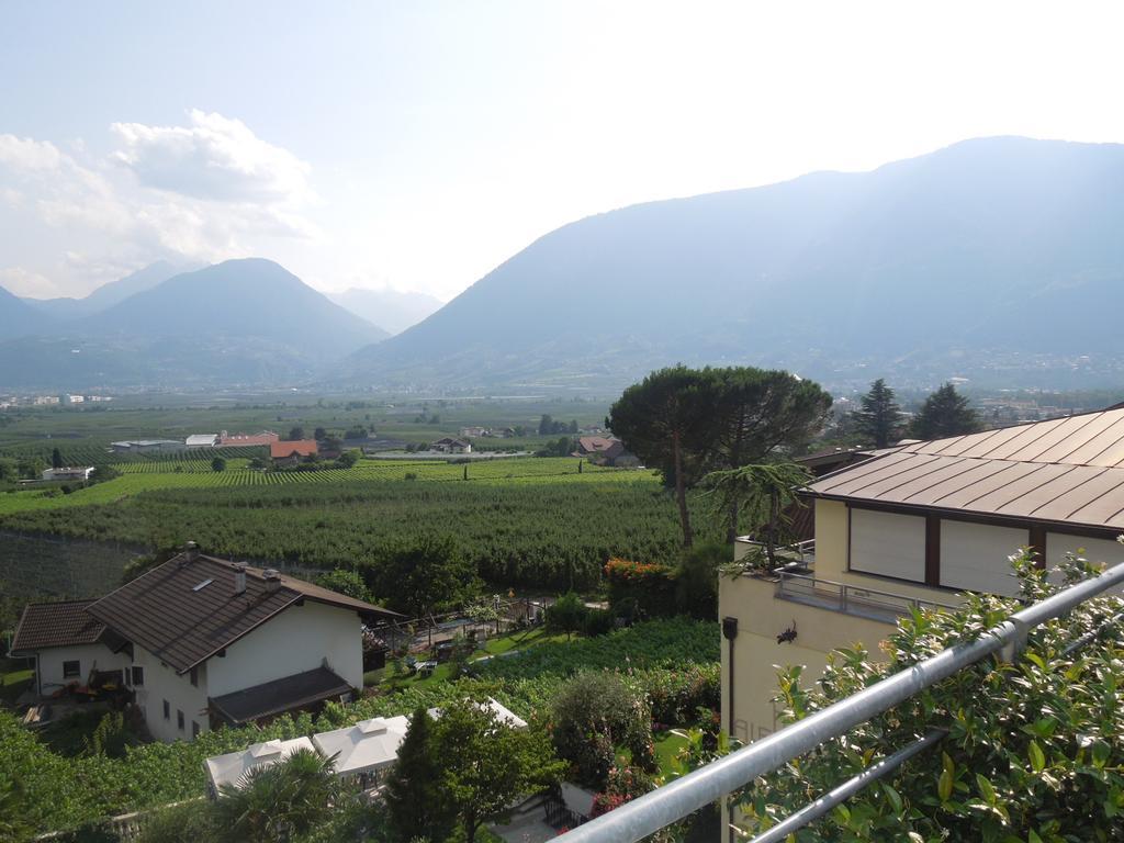 Hotel Alexander 4*