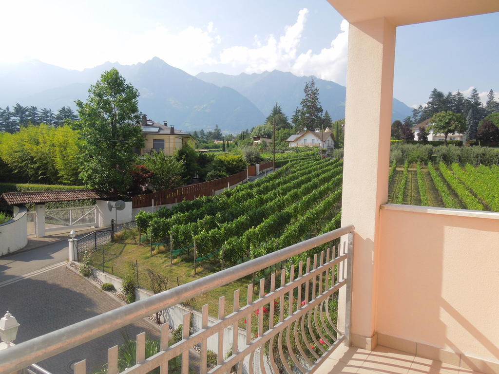 Hotel Alexander 4*